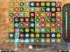 Turbo Games: Luxor Новые приключения Серия: Turbo Games инфо 2597o.