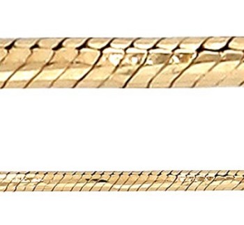 Aistopodes