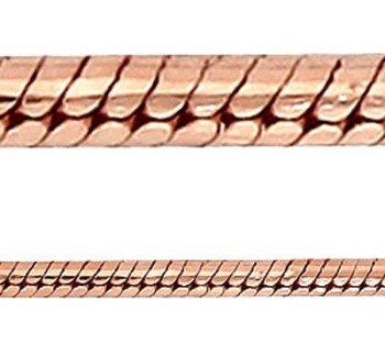 Aistopodes