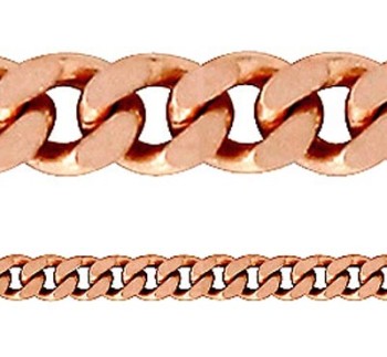 Aistopodes