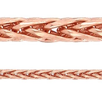 Aistopodes