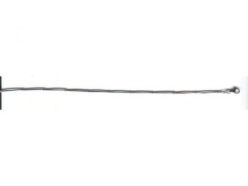 Aistopodes